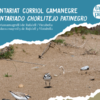Nova edició del voluntariat ​ambiental per a la conservació del corriol camanegr​e